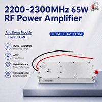 Amplificateur RF GaN personnalisable 65W 2200-2300MHz, module Lora, module anti-drone RF, VCO intégré