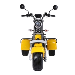 Triciclo Eléctrico para Adultos de 3 Ruedas con Frenos de Disco, 60v, 12AH, 20AH, 40AH, 1500w, 2000w - Product Image 6