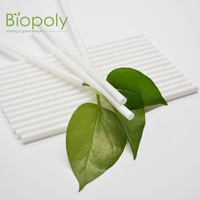 Pailles droites jetables biodégradables en PLA, écologiques, surface lisse, pour smoothies, sodas, milkshakes, fournitures de restauration pour fêtes