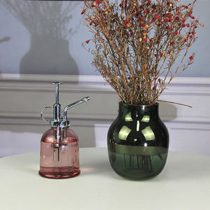 Brumisateur de plantes en verre fin avec outils de jardin pour arroser les plantes Fournitures de jardin - Product Image 6