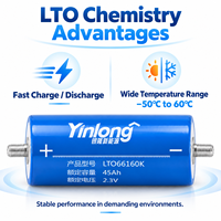 Sel Baterai Lithium Titanate Yinlong LTO Kelas A AS 2.3V 45Ah, Suhu Lebar -50~65 ° C untuk Daya Cadangan Audio Mobil OEM ODM