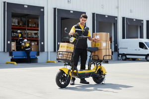 Vélo Électrique Urbain Hidoes D1 à Moteur Brushless Silencieux, le Plus Populaire, pour Longues Distances, Stock BR - Product Image 4