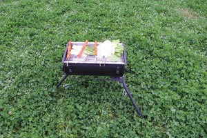 Light Portable Camping BBQ Wood <b>Stove</b> - Product Image 2