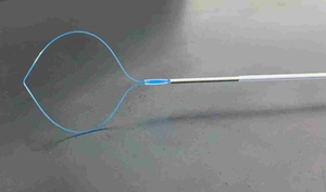Dispositif de ligature jetable <span class=keywords><strong>Endoloop</strong></span> avec 1/2/3 anneaux pour endoscopie chirurgicale, dispositif de ligature Polyloop, ligature <span class=keywords><strong>Endoloop</strong></span> - Product Image 2
