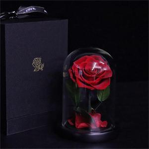 Rose <span class=keywords><strong>éternelle</strong></span> en gros, mini, colorée, en bloc de couleurs, sous cloche en verre, à tige entière, cadeau pour <span class=keywords><strong>la</strong></span> Saint-Valentin et anniversaire - Product Image 6