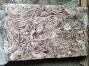 Proveedor chino de alta calidad, <span class=keywords><strong>pulpo</strong></span> <span class=keywords><strong>congelado</strong></span> de pierna larga - Product Image 3
