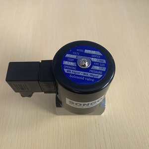 Électrovanne pilote ZCT 0.2-1.0Mpa NC en acier inoxydable 304 12V 24V 220V DN15 pour le contrôle de l'eau, acides et antiseptiques - Product Image 2