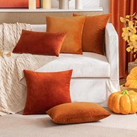 Housse de coussin en velours double face de haute qualité pour l'automne, housse de coussin décorative, housse de coussin orange rouille