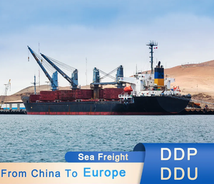 Китай в Индию, Канана, Австралия, Германия, ОАЭ, экспедитор, судоходные компании в Китае, судоходный агент по воздуху, морским грузовикам, DDP - Product Image 5