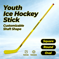 Bâton de hockey sur glace et sur gazon pour jeunes, en fibre de carbone composite, 460g, entraînement, personnalisé, OEM, vente en gros