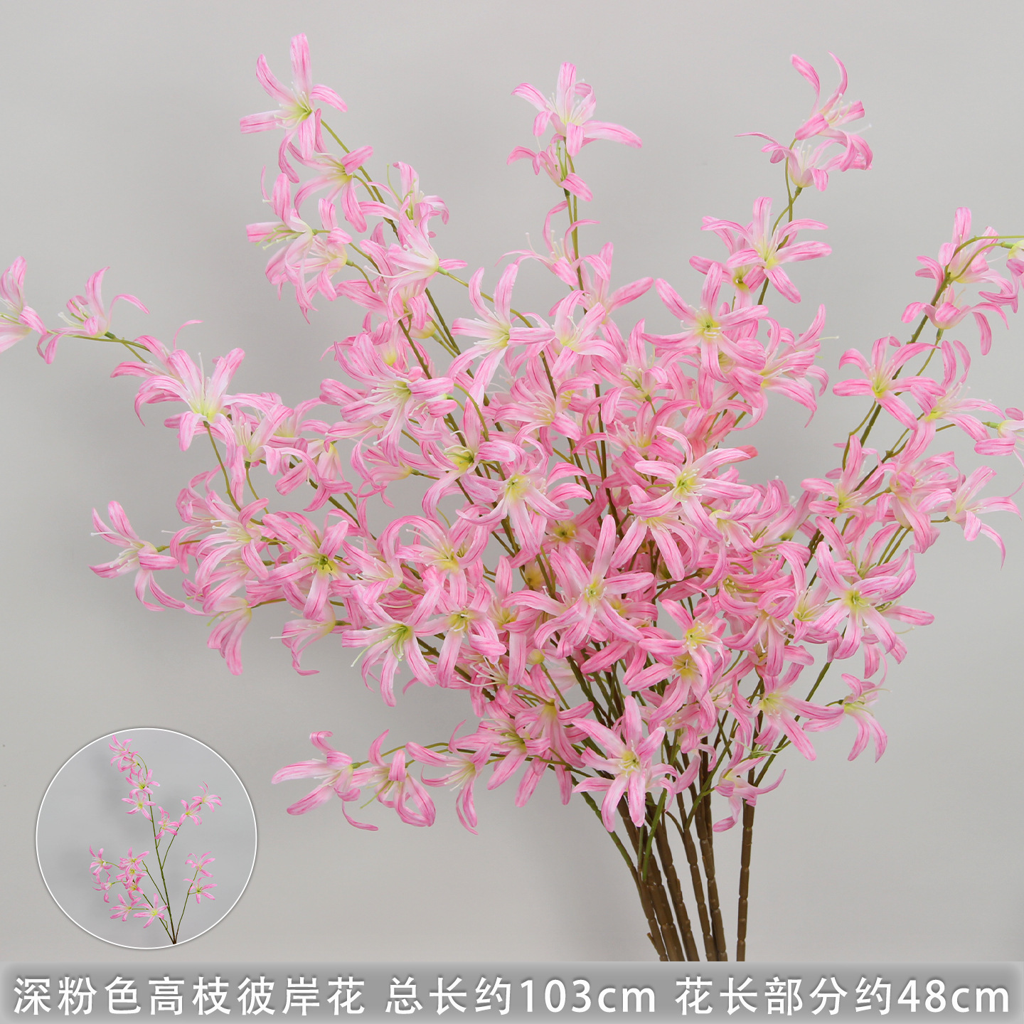 Deep pink, tall-branched spider lily vine