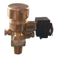 Vente directe usine YONGZHAN YZ015 Vanne d'extincteur flexible en laiton pour incendies de classe B Installation facile Origine Shanghai