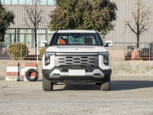Camioneta en Oferta para Adultos, Zhengzhou <span class=keywords><strong>Nissan</strong></span> Z9 GE PHEV 2025, 135 km, 4x4, Versión de Lujo con DHT de 4 Velocidades para Transporte de Carga - Product Image 2