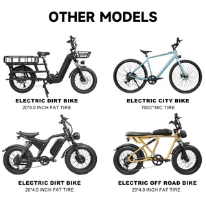 7-Gang Elektro-Mountainbike 48V 10Ah 500W 26*4,0 Zoll Fat-Tire-E-Bike 60 km/h 40 Mph Offroad-Elektrofahrrad - Product Image 5
