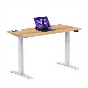 Escritorio Ergonómico Moderno de Alta Calidad para Oficina, con Doble Motor, Altura Ajustable Eléctricamente, Convertible, de Acero Inoxidable - Product Image 1