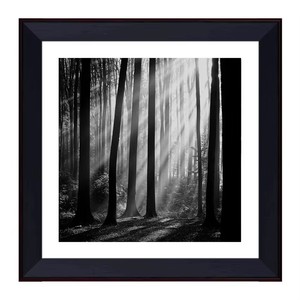 <span class=keywords><strong>Impression</strong></span> sur toile encadrée personnalisée Forêt Noire et Blanche <span class=keywords><strong>30x30</strong></span>, Décoration murale pour chambre d'hôtel, Peinture OEM ODM, Image en gros pour hall 5 étoiles - Product Image 1
