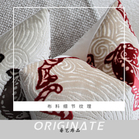 Housse de coussin décorative RUIYI moderne carrée, écologique, taille personnalisable, avec fermeture éclair dissimulée, pour canapé et maison