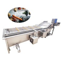 De Nieuwste Dual-Functionele Reiniger Fruitgroente Luchtbel Wasmachine Voor Thuis & Klein Bedrijf & Restaurant