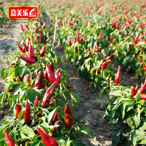 ซอสหวานและเผ็ด800กรัมไก่ย่างทะเลขนาดใหญ่ไก่ทอดไทยจิ้มซอสไก่รสหวานและเผ็ด - Product Image 6