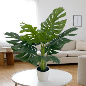 Trang Trí Nội Thất Văn Phòng Nhân Tạo Monstera Cây Tre Sống deliciosa Tươi Tìm Kiếm Bảo Quản Màu Xanh Lá Cây Hoa Gốm Chèn - Product Image 1