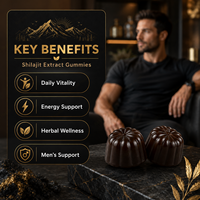 Gummies de Shilajit de l'Himalaya Naturelles OEM, Véganes, Antioxydantes, Complément Énergisant