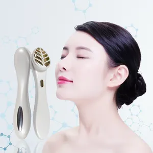2023 New Trends Handheld home mini skin care import beauty Instrument with golden leaf