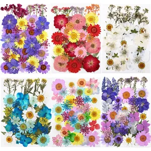 Kit de matériaux pour fleurs pressées DIY, kits combinés de Noël, marque-pages, coques de téléphone, maquillage époxy pour le visage pour la Fête <span class=keywords><strong>des</strong></span> Mères - Product Image 5