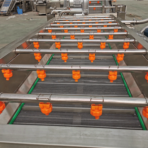 Neueste Luftblasen waschmaschine mit automatischem Riemen hub system für Obst und Gemüse - Product Image 4