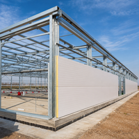 Bâtiment industriel préfabriqué en structure légère isolée en acier pour poulailler, avec ossature en acier galvanisé à chaud haute résistance