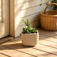 Fournisseur en gros de petites plantes succulentes artificielles avec pot de fleurs, décoration intérieure, pots de jardin durables