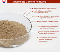 Ciment aluminateux réfractaire CA50 CA70 CA80, poudre de ciment à haute teneur en alumine avec SiO2 et MgO pour les coulis réfractaires
