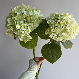 M206 <span class=keywords><strong>Fiori</strong></span> di Ortensia Artificiali in Lattice di Alta Qualità, Effetto Realistico, Bianchi <span class=keywords><strong>e</strong></span> Verdi, per Decorazioni Matrimoniali - Product Image 2