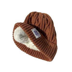<span class=keywords><strong>Bonnet</strong></span> d'hiver de style coréen pour femmes, <span class=keywords><strong>bonnet</strong></span> en tricot doublé de polaire épais avec protection contre le froid pour les oreilles, assorti à tous les styles pour hommes - Product Image 3