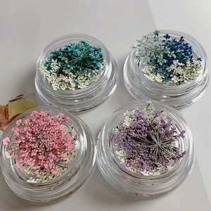 Nueva Serie de Arte de Uñas Estilo INS con Pintura al Óleo de Jardín, Pedrería y Pequeños Pétalos para Manicura, Decoraciones Especiales para Joyería - Product Image 1
