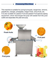 Zware citruspers voor het maken van vers fruit sap, geschikt voor kumquat, citroen, sinaasappel, met scheider voor schil en sap.