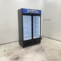 Réfrigérateur commercial vertical pour boissons, avec porte vitrée, pour supermarché et restaurant, pour la présentation de bouteilles de bière