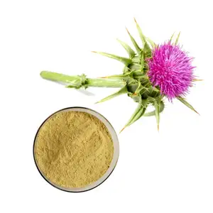 Produsen Silybum Marianum Ekstrak Susu Thistle Ekstrak Bubuk 80% Silymarin