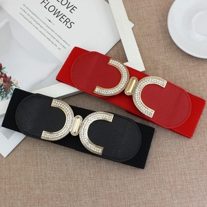 Thiết Kế Thắt Lưng Cho Phụ Nữ Cộng Với Kích Thước Corset Vành Đai Sang Trọng Thương Hiệu Đàn Hồi Lớn Khóa Vành Đai Phụ Nữ - Product Image 6