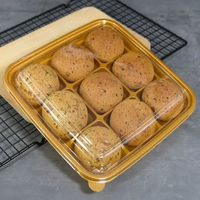 Récipients à gâteaux jetables dorés avec couvercles transparents Boîtes d'emballage Boîte à emporter avec 9 petites grilles pour dessert au cacao chaud