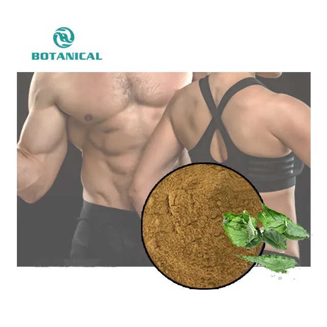 B.C.I Supply epimedium icariin long jack maca turkesterone tribulus terrestris extract powder for man woman