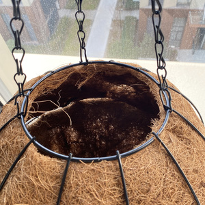 Coconut Coir Hanging Planter Basket - Biodegradable Moss <strong>Liner</strong> for Strawberries, Orchids and Potted <strong>Garden</strong> Plants - Product Image 6