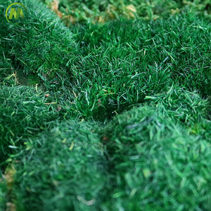 Natural Real <strong>Moss</strong> Wall Art Frame For Home Office Decor Green Wall <strong>Moss</strong> Natural Preserved <strong>Moss</strong> Wall - Product Image 5