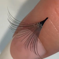 Cils Méga Volume Corée Pbt 003 mm Logo personnalisé Easy Fan Silk Mega Volume Easy Fanning Eyelash Extensions