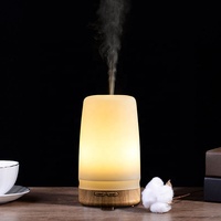 Portable nouveau gros 100ml Air aromathérapie parfum Machine huile essentielle humidificateur diffuseur d'arôme