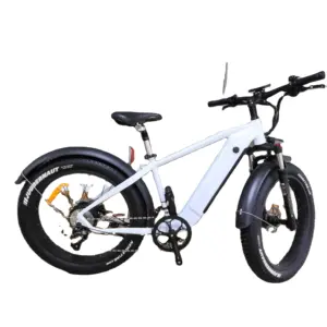 QUEENE/便宜的价格 48V 1000W 电动自行车脂肪轮胎电动山地自行车
