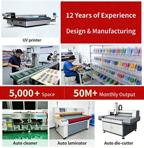 Medallas Personalizadas al por Mayor de Metal en Blanco, Doradas, Plateadas, Bronce Antiguo para Premios de Pickleball, Béisbol, Voleibol, Lucha Libre y Animadoras - Product Image 6