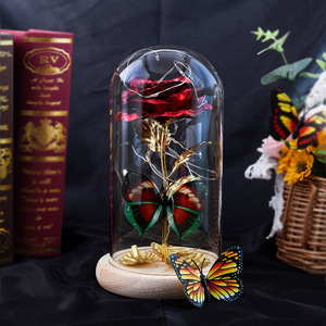 ใหม่สไตล์แก้วฝาครอบไฟ Led นิรันดร์กุหลาบดอกไม้ฐานไม้ - Product Image 6