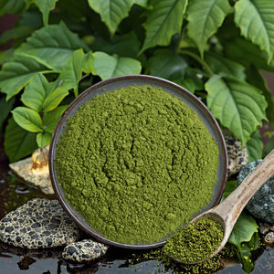 यूरोपीय जैविक प्रमाणित उच्च गुणवत्ता 100% प्राकृतिक जैविक मचा पाउडर मैचा ग्रीन टी मैचा ग्रीन टी - Product Image 1