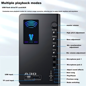 Sistema Audio Professionale 2.1 HIFI con Altoparlanti da 5 Pollici in Legno, Home Theater, Karaoke, Stereo Hi-Fi con Bassi Potenti, Blu, con Doppio Microfono Integrato - Product Image 4