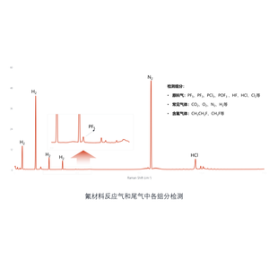 다중 성분 가스 분석기, 가스 성분 동시 온라인 분석 기계, 레이저 라만 분광법 가스 감지기 - Product Image 4